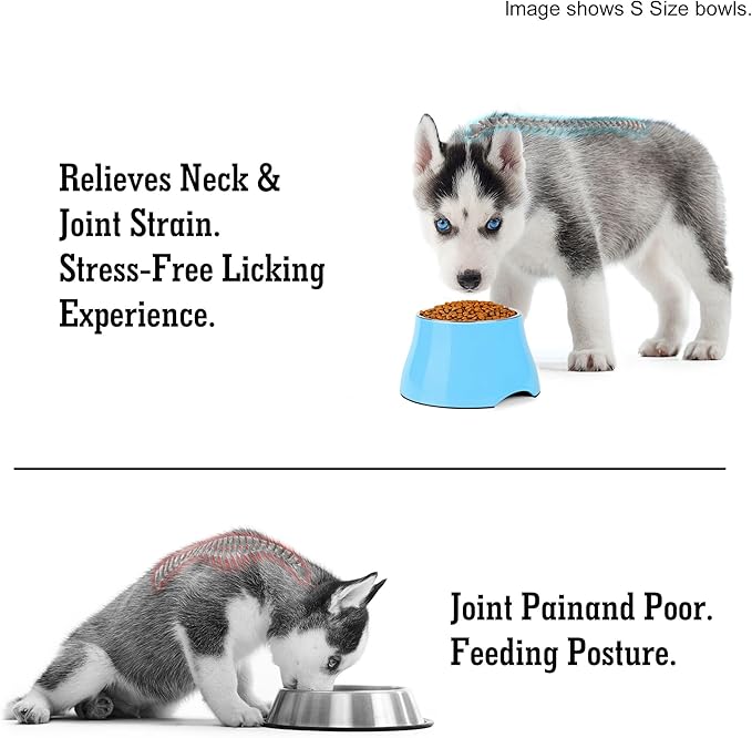 Dog Bowls,Cone Friendly Non Slip Single Dog Bowl with Stainless Steel Inner, Raised Bowls for Small and Medium Dogs Spaniel Dogs Long Ear, High Capacity, L/3 Cups Aqua Blue