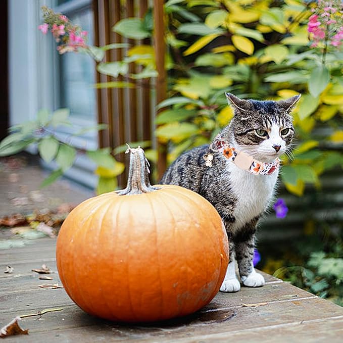 Elegant little tail Fall Cat Collar-2 Pack Pumpkin with Rugby Print Cotton Breakaway Cat Collars with Bell Pendant Kitten Boy Girl Safety Adjustable Collar for Small Cats Puppy