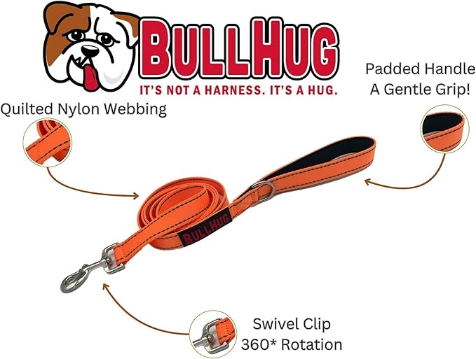 BULLHUG 6 FT Bulldog Leash with Padded Handle. Perfect for Bulldogs, French Bulldogs, Pugs & All Breeds. Leashes for Walking, Training Lead for Bulldogs (NEON Orange)