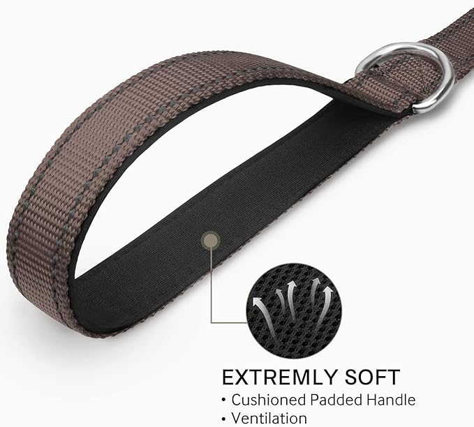 Joytale Double-Sided Reflective Dog Leash, 4 FT, Padded Handle Nylon Heavy Duty Leashes for Small & Medium Dogs Walking, Brown