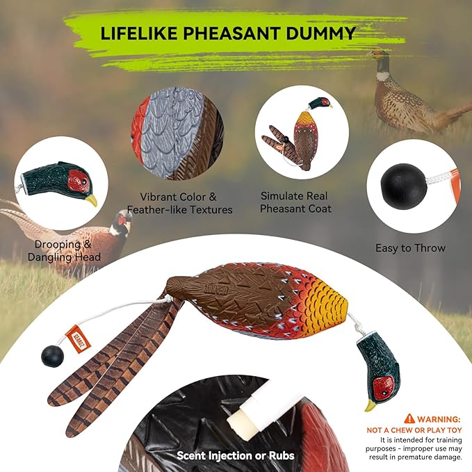 Duck/Pheasant Dummy, Mimics Dead Duck/Pheasant Bumper for Gun Dog Training Scent Waterfowl Hunting Retriever, Outdoor Mallard Retrieval Interactive Train Toys, Floating & Durable