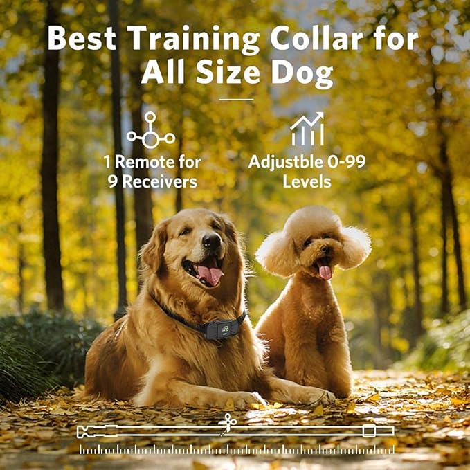 Dog Training Collar - Rechargeable Dog Shock Collar with Beep, Vibration and Shock Training Modes, Rainproof, Long Remote Range, Adjustable Shock Levels Shock Collars for Dogs with Remote