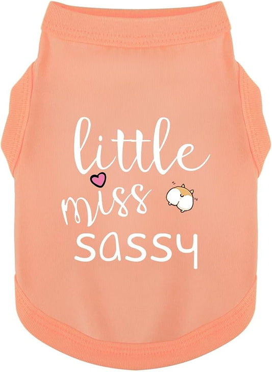 Paiaite Dog Clothes Fashionable Sleeveless Pet Vest: 'Little Miss Sassy' Printed Cotton Dog Shirt, Ideal for Small, Medium, and Large Breeds, Ensuring Comfort and Breathability Orange Pink 4XL