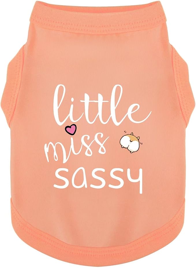 Paiaite Dog Clothes Fashionable Sleeveless Pet Vest: 'Little Miss Sassy' Printed Cotton Dog Shirt, Ideal for Small, Medium, and Large Breeds, Ensuring Comfort and Breathability Orange Pink M