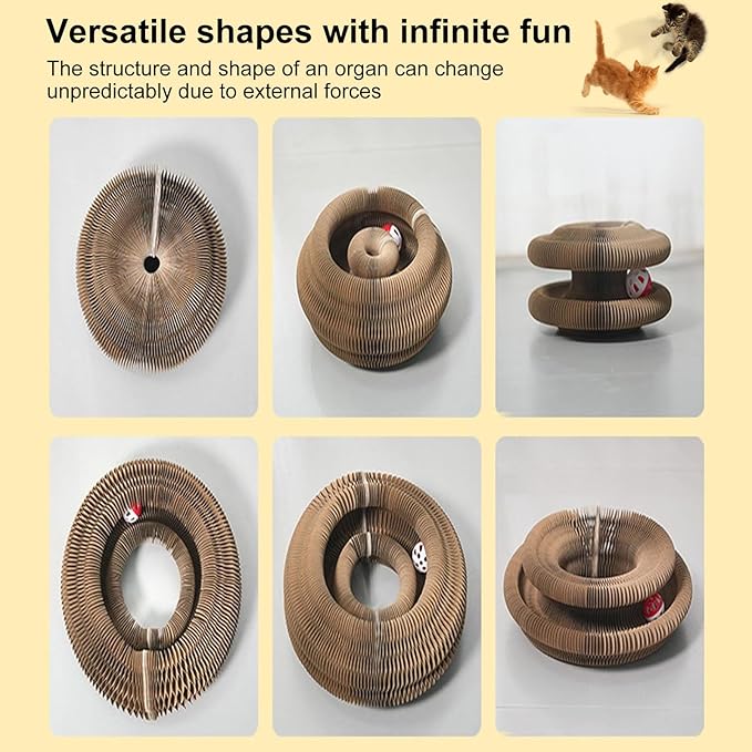 1PC Kitty Curls Cat Scratcher,Magic Organ Cat Toy,Cat Scratcher for Grinding Claw Cardboard Cat Toys,Interactive Scratch Pad with Toy Ball