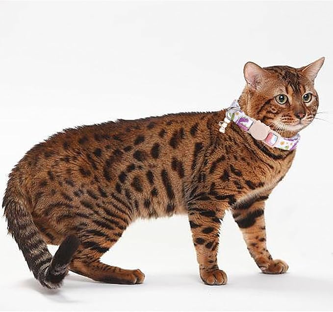 Elegant little tail 2 Pack Cat Collar-Dinosaur & Shark Cotton Breakaway Cat Collars with Bell Pendant Kitten Boy Cats Safety Adjustable Collar for Small Cats Puppy