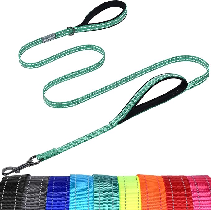 VIVAGLORY Twingrip Dog Leash, Double Handle Dog Leash for Training & Walking with Traffic Handle & 2 Loop, Traffic Control Reflective Heavy Duty for Puppy Pet, 6ft x 1/2in, Turquoise