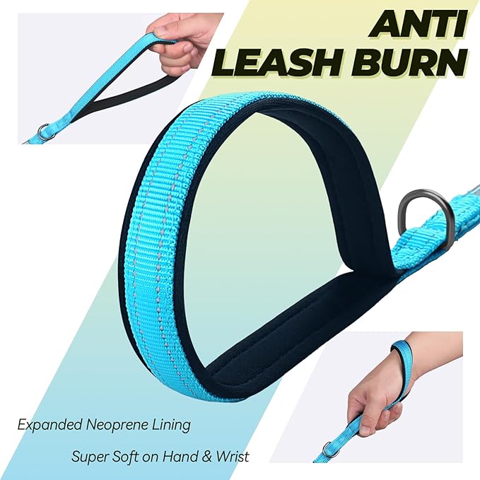 VIVAGLORY Twingrip Dog Leash, Double Handle Dog Leash for Training & Walking with Traffic Handle & 2 Loop, Traffic Control Reflective Heavy Duty for Puppy Pet, 5ft x 1/2in, Lake Blue