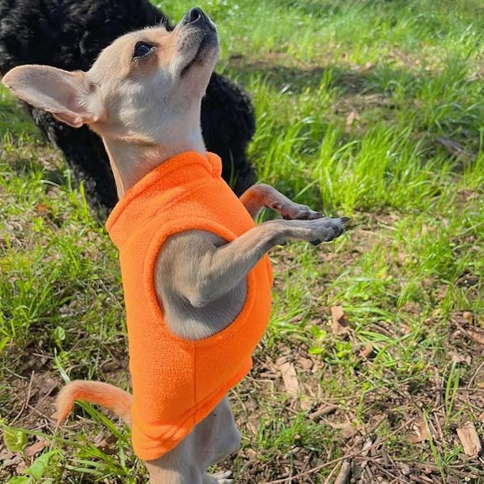 JACKO & CO - Fleece Vest Dog Sweater with Leash Ring - Soft, Warm & Lightweight Pullover Coat for Small & Medium Dogs, Puppies & Cats - Cozy Fall/Winter/Spring Pet Jacket (Pumpkin, X-Small 2-4lbs)
