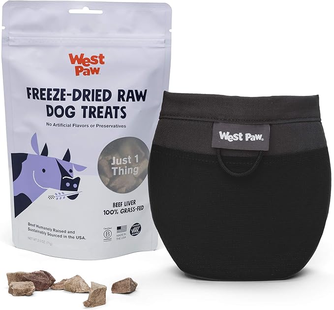 West Paw Design Outings Dog Treat Pouch – Pet Pouches for Walking, Dog Training – Accessories for Pets – Includes Hinge Snaps, Water-Resistant Liner, Belt Clip – Eco-Friendly Dog Pouches (Grey)