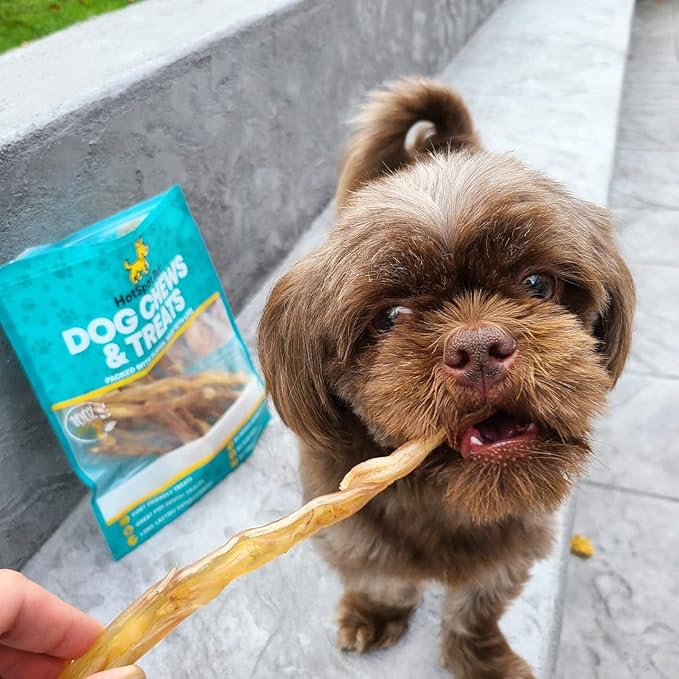hotspot pets Beef Tendon Chews for Dogs (10 Pack) - Made in USA - 8 Inch All Natural, Free-Range, Grass-Fed Premium USDA Gambrol Beef Tendon Stick Treats, Great for Joint Health