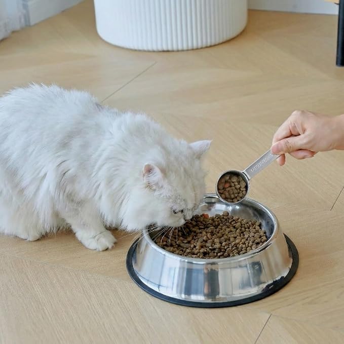 KEAWELL Premium Dog and Cat Food Measuring Cup 18/10 Stainless Steel (1, 1/4 Cup)