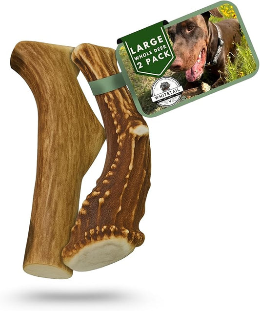 WhiteTail Naturals - Deer Antlers for Large Dogs - Long Lasting Antler Dog Chews - Crafted in USA, Naturally Shed Antler Dog Bones for Aggressive Chewers (Large (Pack of 2))