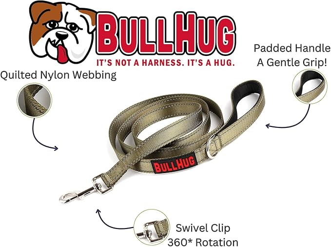 BULLHUG 6 FT Bulldog Leash with Padded Handle. Perfect for Bulldogs, French Bulldogs, Pugs & All Breeds. Leashes for Walking, Training Lead for Bulldogs (Leopard Pink)