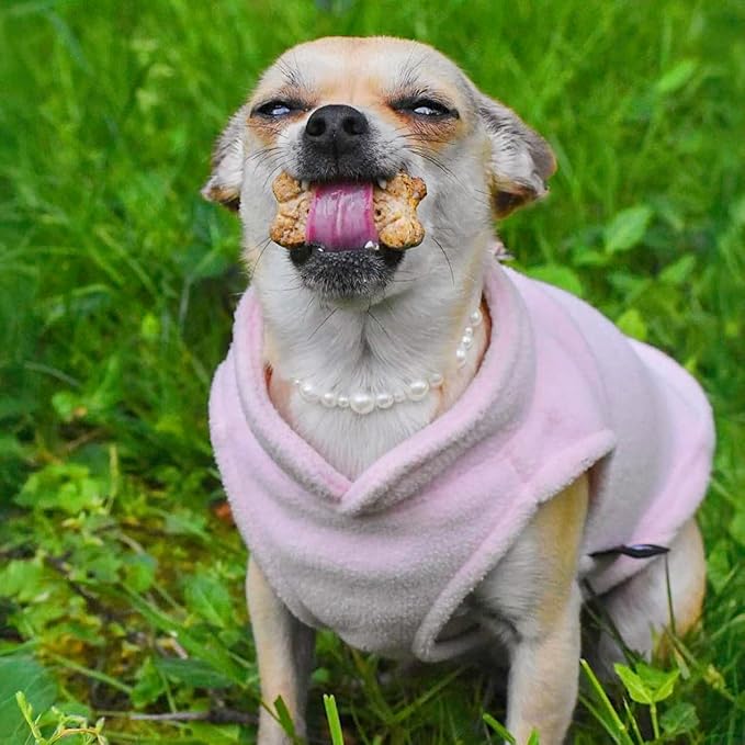 JACKO & CO - Fleece Vest Dog Sweater with Leash Ring - Soft, Warm & Lightweight Pullover Coat for Small & Medium Dogs, Puppies & Cats - Cozy Fall/Winter/Spring Pet Jacket (Pink Lemonade, L 10-16lbs)