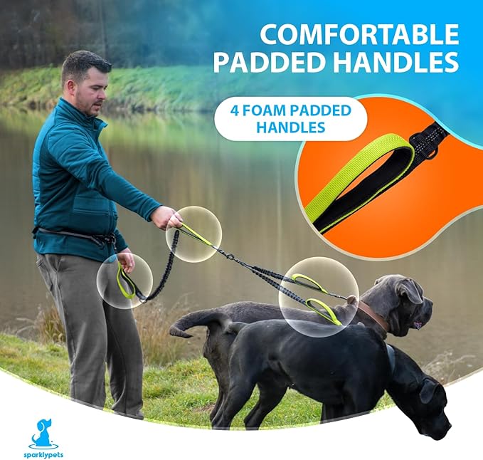 SparklyPets Hands Free Double Dog Leash – Dual Leash for Medium and Large Breeds – Lead for 2 Dogs with Padded Handles, Reflective Stitches, No Pull, Tangle Free