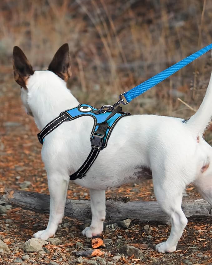 Joytale Dog Leash, 6 FT Double-Sided Reflective, Padded Handle Nylon Heavy Duty Leashes for Medium & Large Dogs Walking, Sky Blue