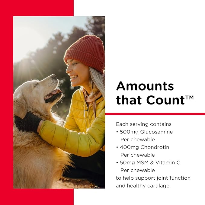 Nutri-Vet Hip & Joint Chewable Dog Supplements - Formulated with Glucosamine & Chondroitin for Dogs - 90 Count (Pack of 2)