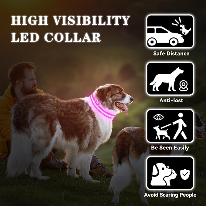 LED Light Up Dog Collar Rechargeable Waterproof, Glow in Dark Dog Collar, Lighted Dog Collars for Night Walking Charging USB, Safety for Small Medium Large Dogs (XL, Pink)