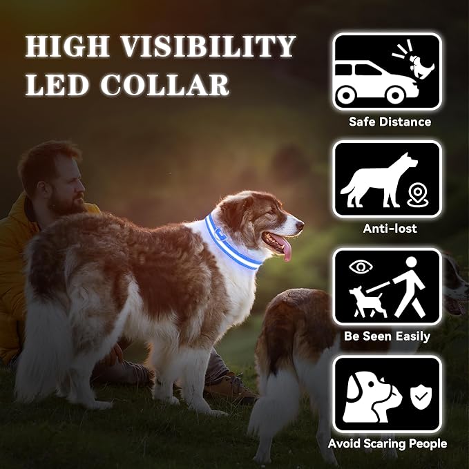 LED Light Up Dog Collar Rechargeable Waterproof, Glow in Dark Dog Collar, Lighted Dog Collars for Night Walking Charging USB, Safety for Small Medium Large Dogs (S, Blue)