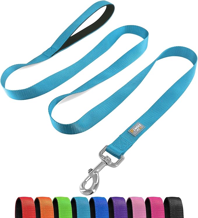 Basic Dog Leashes 6 FT Padded Handle Nylon Dogs Leashes for Large Dogs Light Blue