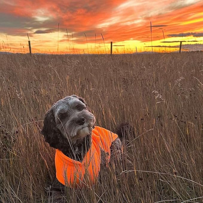 JACKO & CO - Fleece Vest Dog Sweater with Leash Ring - Soft, Warm & Lightweight Pullover Coat for Small & Medium Dogs, Puppies & Cats - Cozy Fall/Winter/Spring Pet Jacket (Pumpkin, XX-Large 25-35lbs)