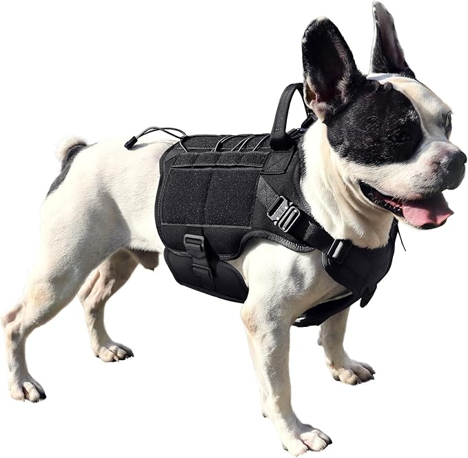 PETNANNY Tactical Service Dog Vest - No-Pull Emotional Support Harness with Hook & Loop Patches & Molle System for Training & Hunting (Black, Small)