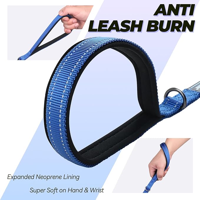 VIVAGLORY Twingrip Dog Leash, Double Handle Dog Leash for Training & Walking with Traffic Handle & 2 Loop, Traffic Control Reflective Heavy Duty for Puppy Pet, 6ft x 1/2in, Blue