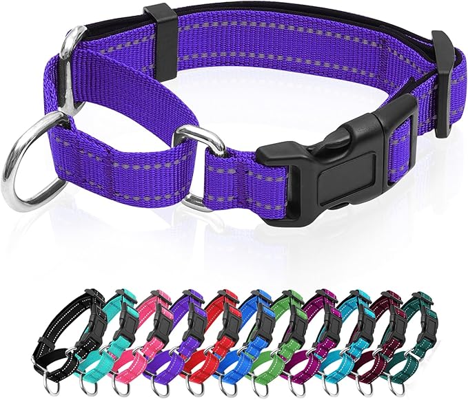 Reflective Martingale Dog Collars. Dog Collar with Quick Release Buckle. Adjustable Soft Padded Breathable Nylon Pet Collar Suitable for Puppies for Small Medium Large Dogs.
