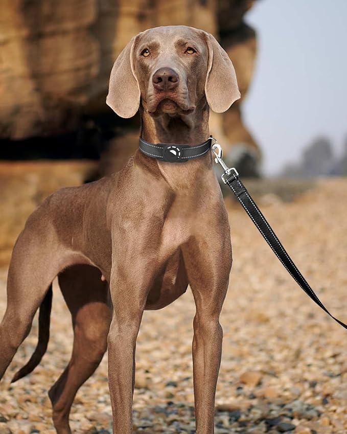 6FT Reflective Nylon Dog Leash with Soft Padded Handle for Walking, Running and Training, Supports Small Medium and Large Dogs (Black, 1 Inch Wide)