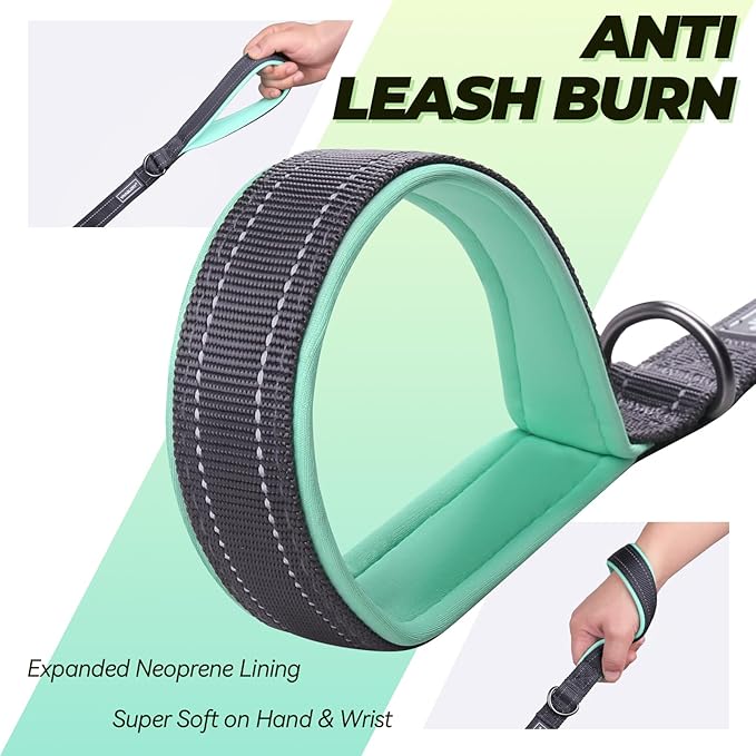 VIVAGLORY Twingrip Dog Leash, Double Handle Dog Leash for Training & Walking with Traffic Handle & 2 Loop, Traffic Control Reflective Heavy Duty for Puppy Pet, 5ft x 1in, Grey