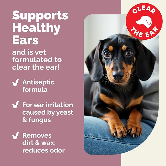 Vetnique Oticbliss Advanced Strength Medicated Dog Ear Infection Treatment, Antiseptic Ear Cleaner for Cat & Dog Ear Cleaning Solution Chlorhexidine & Ketoconazole (12oz Flush)