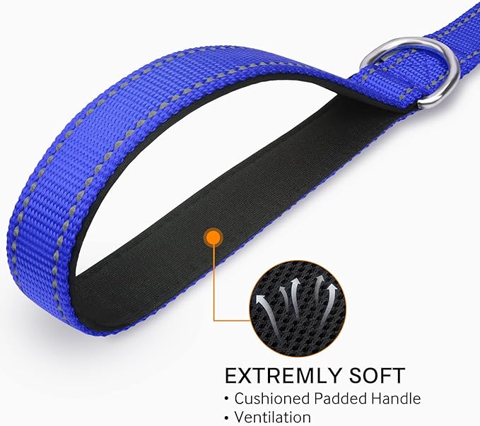 Joytale Double-Sided Reflective Dog Leash, 4 FT, Padded Handle Nylon Heavy Duty Leashes for Medium & Large Dogs Walking, Navy Blue