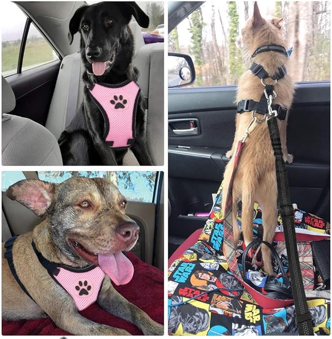SlowTon Dog Seat Belt Harness for Car, Dog Car Harness Adjustable Mesh Breathable & Dog Seatbelt Safety Tether with Elastic Bungee for Small Medium Large Pets(Pink, Single Clip, XXS)