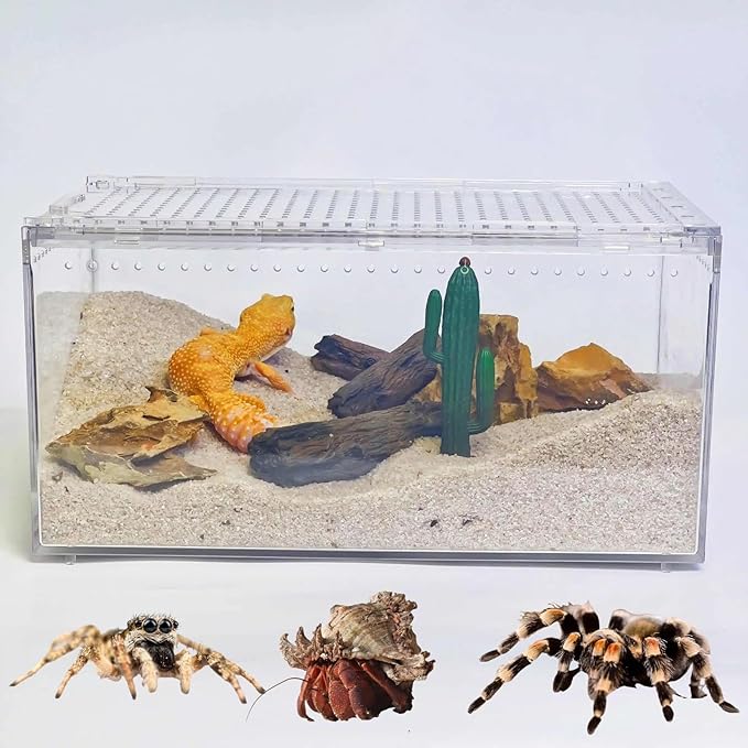 PC Reptile Terrarium, Leopard Gecko Tank, Jumping Spider Enclosure, Lizard Enclosure, Suitable for Gecko, Hermit Crab, Tree Frog, Tarantula, Praying Mantis Habitat Tank Starter (Large)