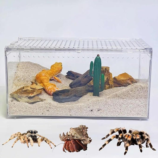 PC Reptile Terrarium, Leopard Gecko Tank, Jumping Spider Enclosure, Lizard Enclosure, Suitable for Gecko, Hermit Crab, Tree Frog, Tarantula, Praying Mantis Habitat Tank Starter (Large)