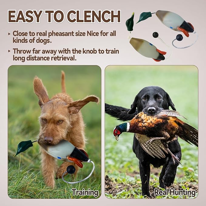 Duck Dog Training, Pheasant Dog Training Dummies for Dog Training Hunting Dog Accessories Dogs Training Dummy Bumper Retriever Floating De-ad Bird Fowl Trainer Hunting Retriever (Duck)