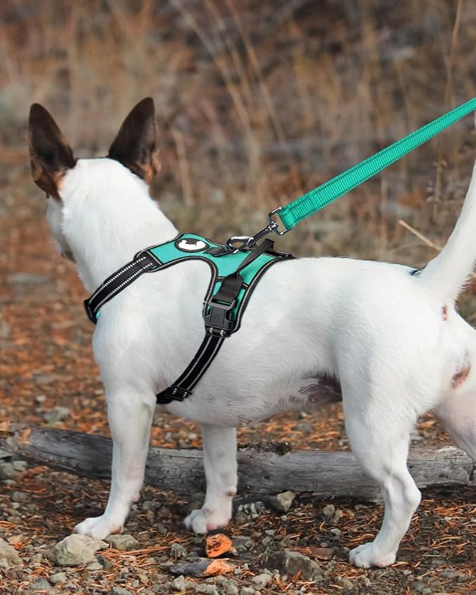 Joytale Double-Sided Reflective Dog Leash, 4 FT, Padded Handle Nylon Heavy Duty Leashes for Medium & Large Dogs Walking, Teal