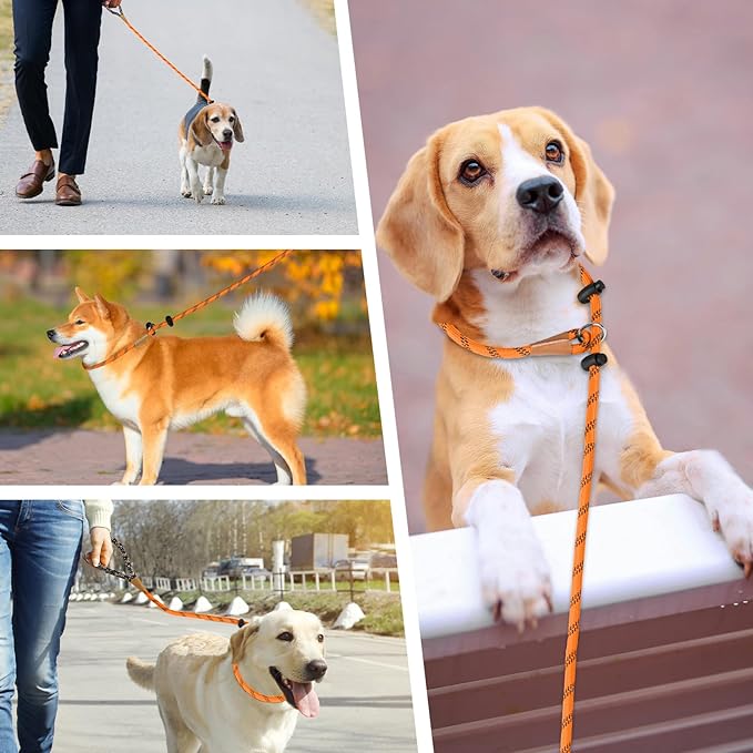 lynxking Slip Lead Dog Leash Reflective, Heavy Duty Comfortable Strong Rope for Large Medium Small Dogs No Pull Pet Training (Orange, 2PCS Large 1/2in x 6ft)