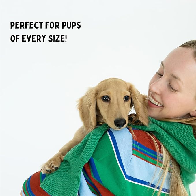 Winnie Lou Wild Boar Jerky Dog Treats – Limited Ingredient, Human Grade, Training Treats for Small, Medium & Large Dogs, Made in USA (2 Pack)