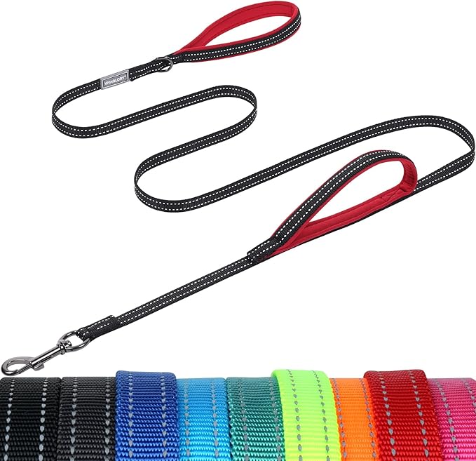 VIVAGLORY Twingrip Dog Leash, Double Handle Dog Leash for Training & Walking with Traffic Handle & 2 Loop, Traffic Control Reflective Heavy Duty for Puppy Pet, 4ft x 1/2in, Black