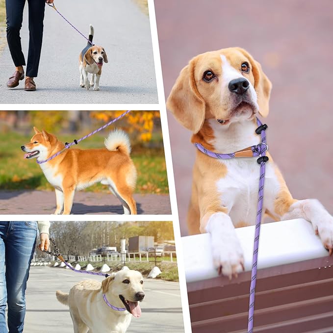 lynxking Slip Lead Dog Leash Reflective, Heavy Duty Comfortable Strong Rope for Large Medium Small Dogs No Pull Pet Training (Light Purple, Large 1/2in x 6ft-Slip Lead)