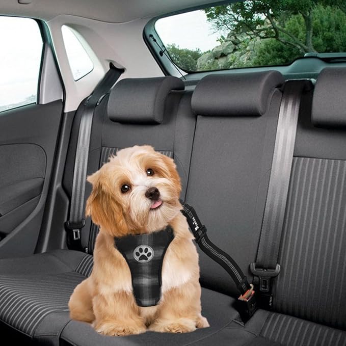 SlowTon Dog Seat Belt Harness for Car, Dog Car Harness Adjustable Mesh Breathable & Dog Seatbelt Safety Tether with Elastic Bungee for Small Medium Large Pets