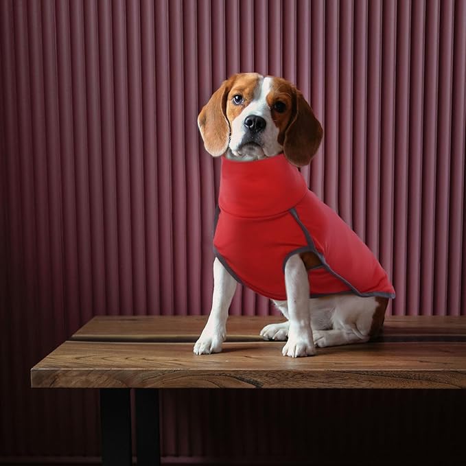 ROZKITCH Dog Winter Coat Soft Pullover Pajamas, Pet Windproof Warm Cold Weather Jacket Vest Cozy Onesie Jumpsuit Apparel Outfit Clothes for Small Medium Large Dogs Walking Sleep BrightRed L