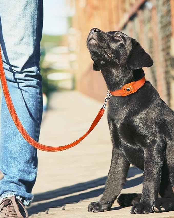 4FT Reflective Nylon Dog Leash with Soft Padded Handle for Walking, Running and Training, Supports Small Medium and Large Dogs (Orange, 1 Inch Wide)