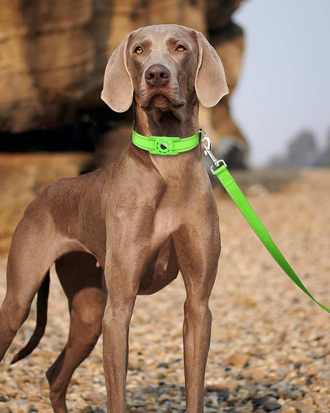 4FT Reflective Nylon Dog Leash with Soft Padded Handle for Walking, Running and Training, Supports Small Medium and Large Dogs (Green, 1 Inch Wide)