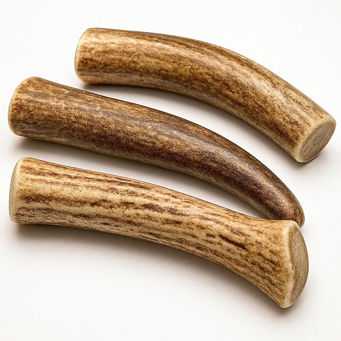 WhiteTail Naturals - Antlers for Small Dogs (3 Pack) Deer Antler Dog Chew Bones for Small Aggressive Chewers - Long Lasting Horn Chew Toys - Naturally Shed