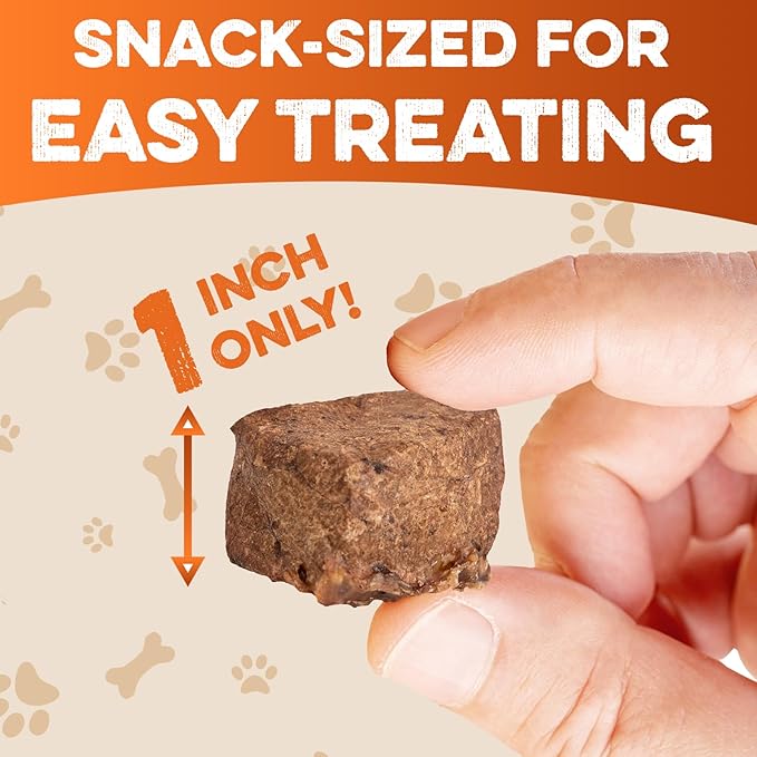 BRUTUS & BARNABY Beef Lung Bites for Dogs - 100% Single Ingredient Dog Treat Made in USA - Protein Packed, Crunchy, Healthy Dog Treats - Grain Free, Rawhide Free, No Additives
