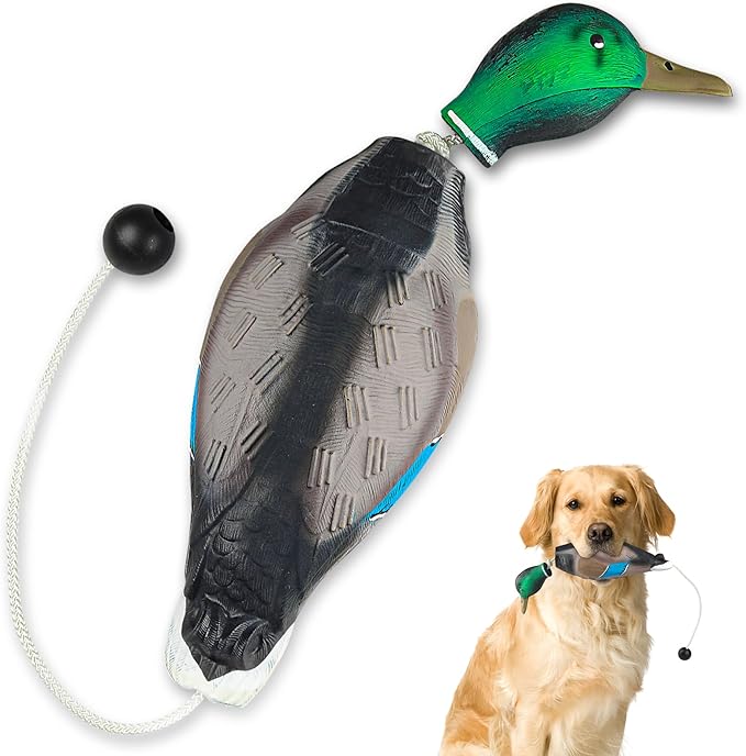 Archerest Dead Duck Dove Pheasant Dummy Bumper Toys for Waterfowl Hunting Retriever Dog Training, Floating Mallard Dummy Trainer Outdoor Soft Durable Realistic Fowl