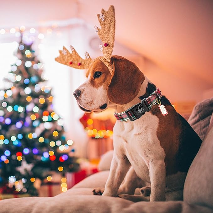 Elegant littlle Tail Christmas Dog Collar, Red Plaid Pet Collars Soft Cotton Winter Dog Collar with Quick Release Buckle Pet Puppy Collars for Small Medium Large Dogs